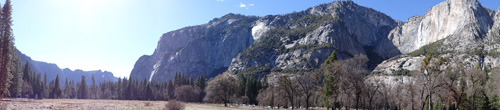 Valley Floor. Rear of El  Capitan